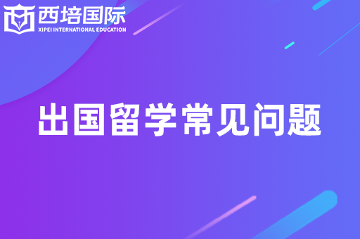 出國(guó)留學(xué)中介