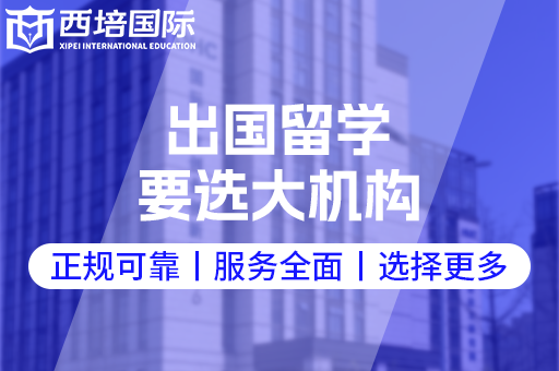 出國留學(xué)中介